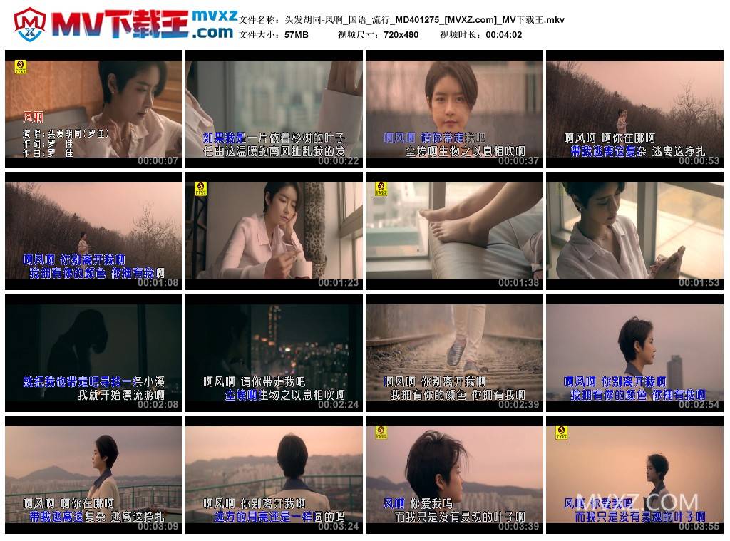 头发胡同-风啊_国语_流行_MD401275